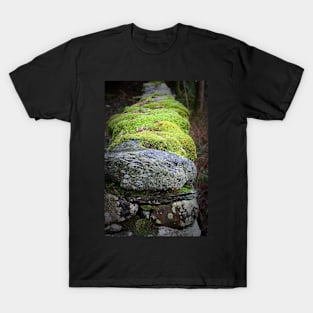 Lakeland wall T-Shirt